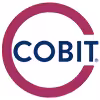 COBIT 19